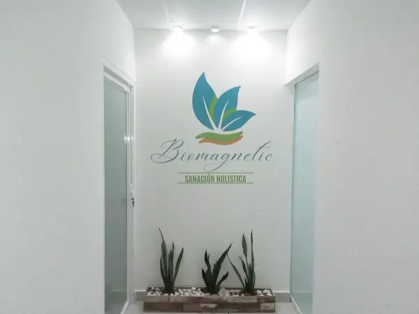 Local Biomagnetic